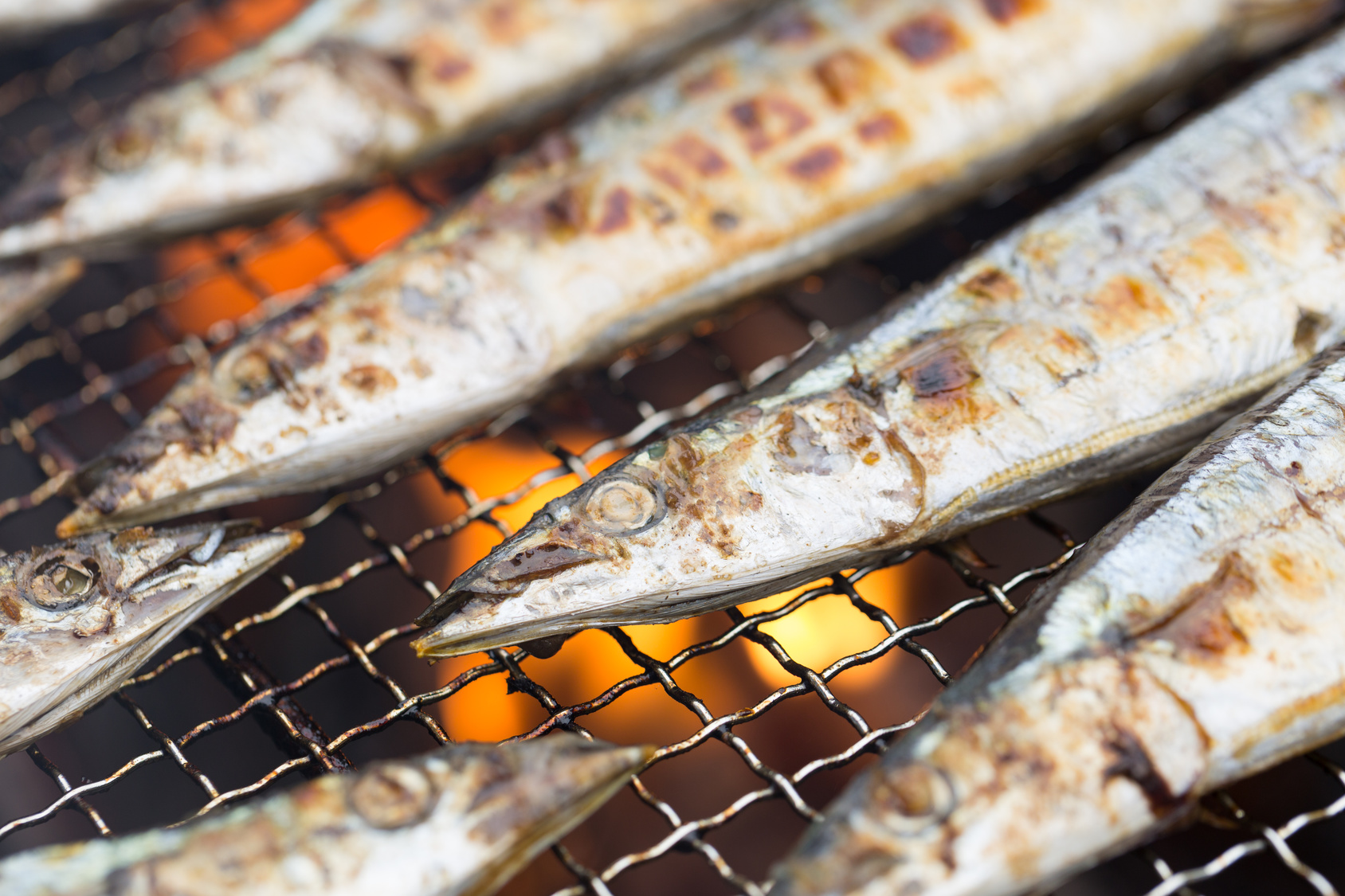 魚焼きグリルを掃除して料理を楽しむ!掃除の楽々4ステップ Zehitomo